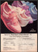 Jordache Shoes 1980s Print Advertisement 1984 Satin & Suede Gripper Fetch-the-Paper