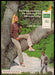 Kool Super Longs 1970s Print Advertisement 1977 Girl Binoculars In a Tree Kool Super Longs