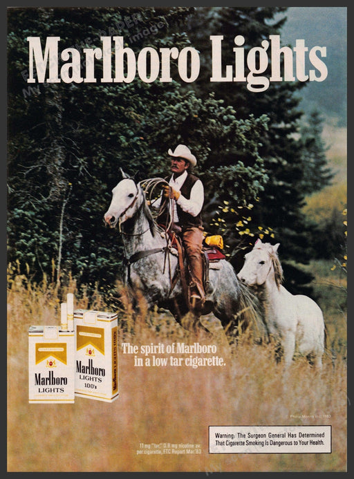 Marlboro Light Cigarettes 1980s Print Advertisement 1984 Darrell Winfield Gray Fetch-the-Paper