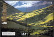 Marlboro Lights 1990s Print Advertisement (2 page) 1999 Rolling Green Hills Fetch-the-Paper