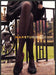 Max Studio Shoes 2000s Print Advertisement Ad 2006 Legs Tights Garden Max Studio