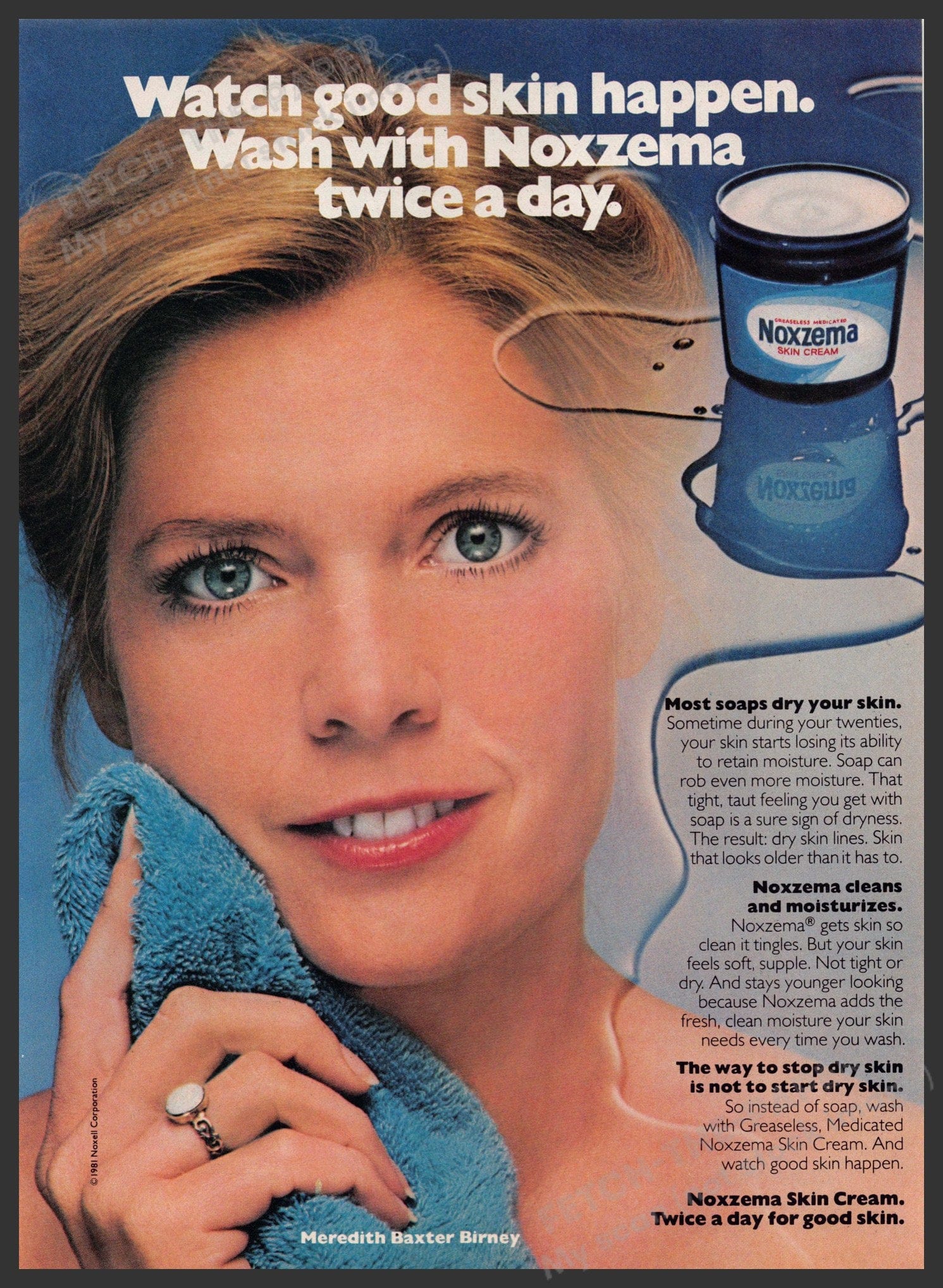 Noxzema Meredith Baxter Birney 1980s Print Ad — Fetch-the-Paper