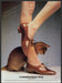 Russell & Bromley Shoes 1980s Print Advertisement Ad 1982 Legs Brown Cat Fetch the Paper!