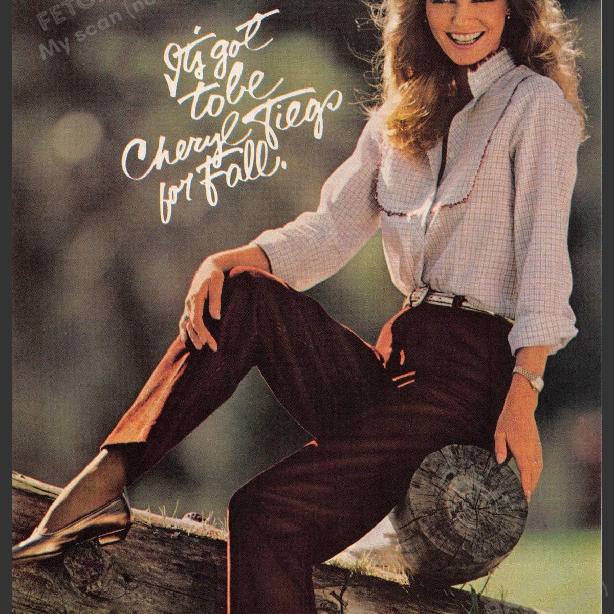 Sears Cheryl Tiegs 1980s Print Ad — Fetch-the-Paper