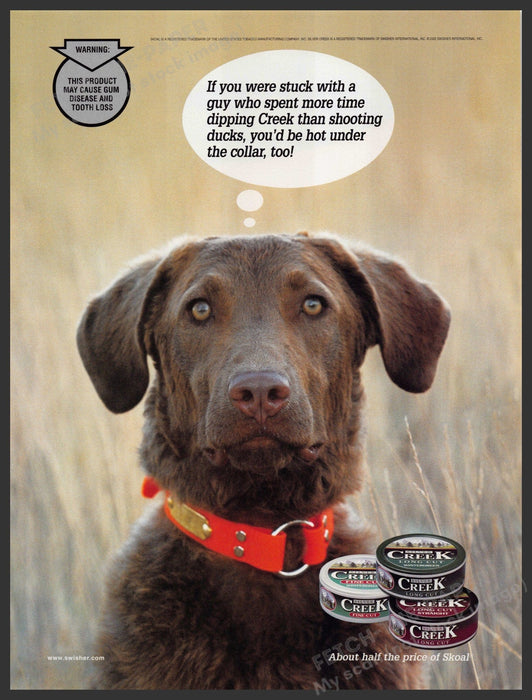 Silver Creek Chesapeake Bay Retriever Dog 2000s Print Advertisement 2002 Fetch-the-Paper