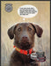 Silver Creek Chesapeake Bay Retriever Dog 2000s Print Advertisement 2002 Fetch-the-Paper