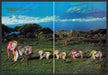 Stolichnaya Paper Oragami Elephants 2000s Print Advertisement 2 Page Ad 2002 Fetch-the-Paper