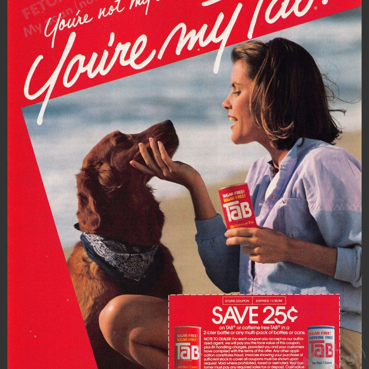 Vintage 1984 Tab Soda Ad - Woman & Golden Retriever Beach Scene — Fetch ...
