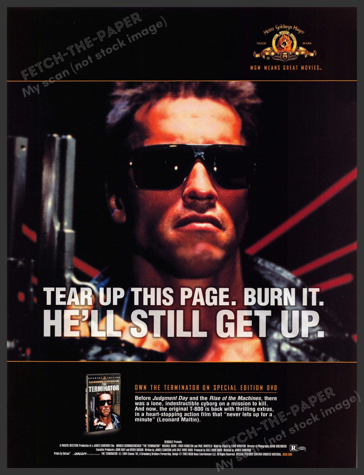 Original 2003 Terminator Print Ad - Special Edition DVD Promo — Fetch ...