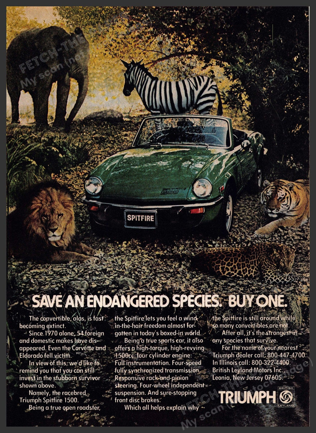 1977 Triumph Spitfire Print Ad - Classic Convertible in Jungle Scene ...