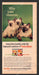 1963 Puss'n Boots Cat Food Siamese Cat & Kittens Print Advertisement Ad