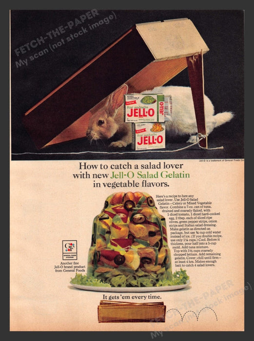 1965 Jell-O for Salads Rabbit Trap Print Advertisement Ad