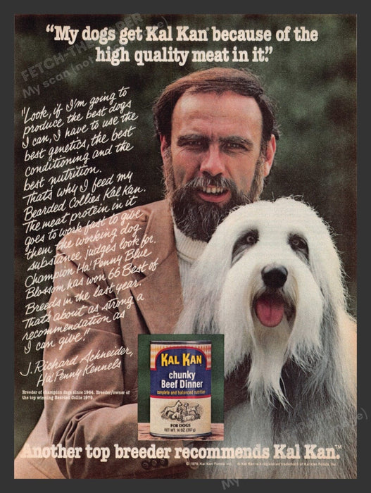 1979 Kal Kan Dog Bearded Collie Champion Schneider Print Advertisement Ad