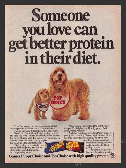 1980 Gaines Dog Food Cocker Spaniel & Puppy Print Advertisement Ad