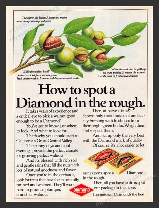 1984 Diamond Walnuts of California Illustrated Print Advertisement Ad