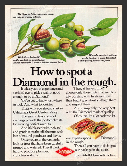 1984 Diamond Walnuts of California Illustrated Print Advertisement Ad