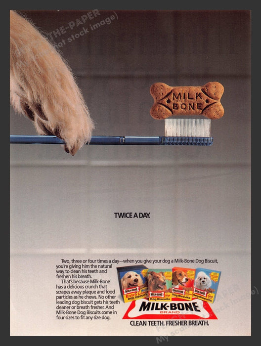 1989 Milk-Bone Dog Biscuits Toothbrush Print Advertisement Ad