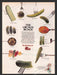 1989 Roddenbery's Pickle Print Advertisement Ad