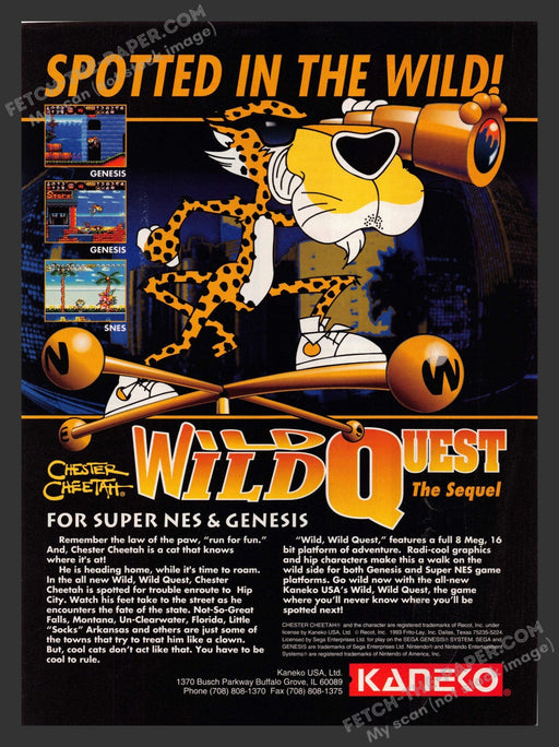 1993 Print Advertisement Chester Cheetah Wild Quest Video Game Ad.