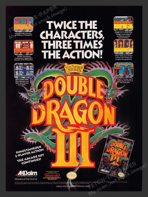 1991 Double Dragon III: The Sacred Stones Video Game Print Advertisement Fetch the Paper!
