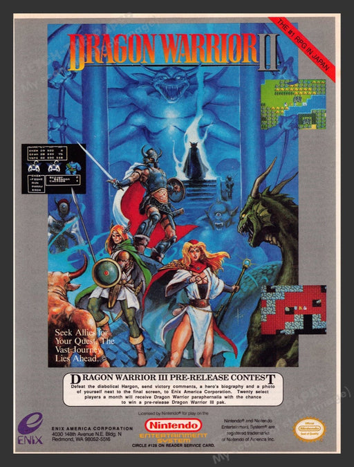 1991 Dragon Warrior II Video Game Print Advertisement Fetch the Paper!