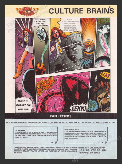 1991 Flying Warriors Video Game Comic from Magazine Fetch the Paper!