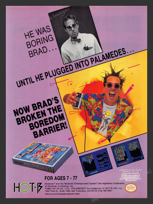 1991 Palamedes "Boring Brad" Video Game Print Advertisement Fetch the Paper!