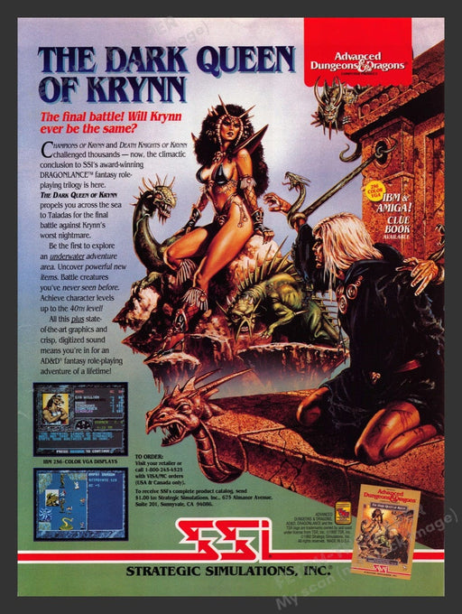 1993 D & D The Dark Queen of Krynn Video Game Print Advertisement Fetch the Paper!