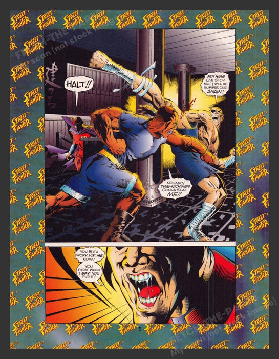 1993 Street Fighter Part 1 Video Game Comic from Magazine Fetch the Paper!