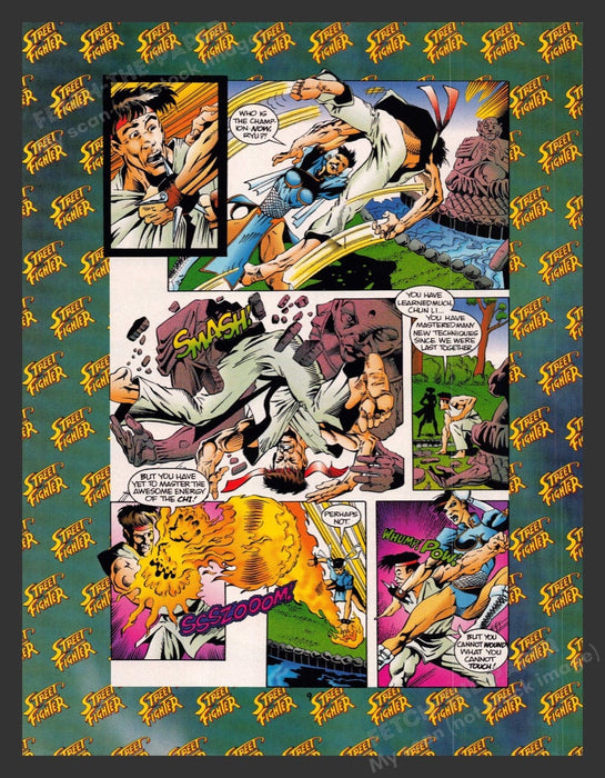 1993 Street Fighter Part 2 Video Game Comic from Magazine Fetch the Paper!