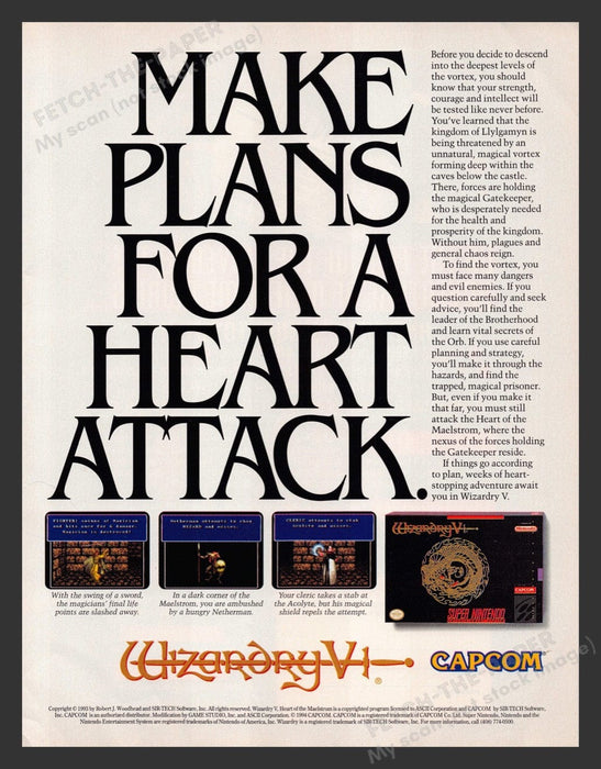 1994 Wizardry VI Video Game Print Advertisement