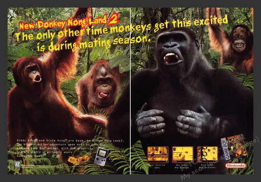 1996 Donkey Kong Land 2 Video Game Print Advertisement (2 Pages)