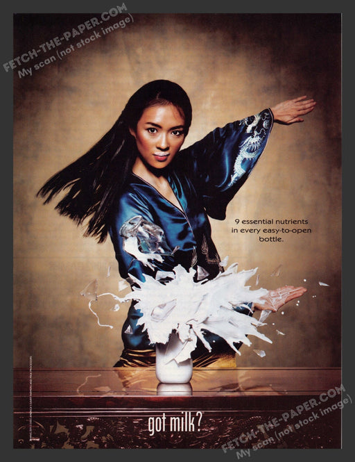 2002 Print Advertisement Got Milk? Karate Zhang Ziyi Actress Ad.