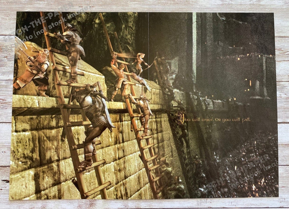 2002 Lord of the Rings: Two Towers Fold Out 10.5" x 15" Video Game Poster Fetch the Paper!