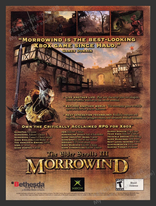 2002 The Elder Scrolls III: Morrowind Video Game Print Advertisement Fetch the Paper!