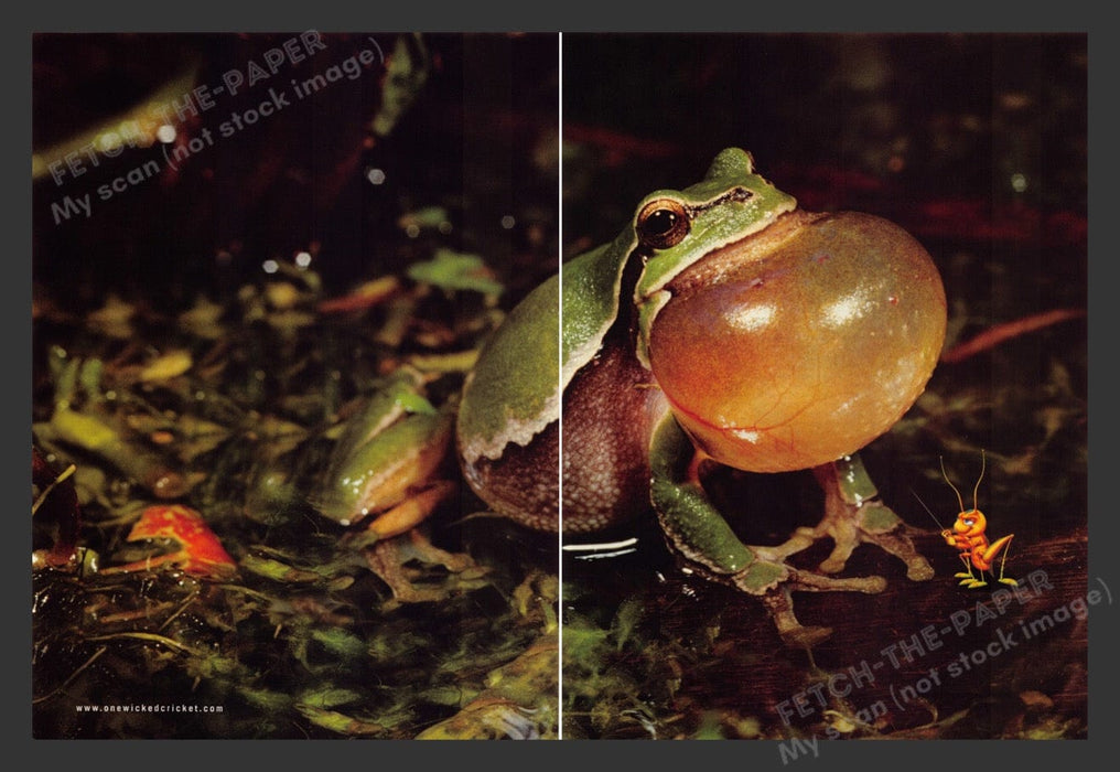 2002 Zapper: One Wicked Cricket with Frog Video Game Print Advertisement (2 pgs) Fetch the Paper!