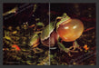 2002 Zapper: One Wicked Cricket with Frog Video Game Print Advertisement (2 pgs) Fetch the Paper!
