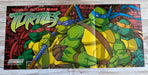2003 TMNT Turtles Fold-Out 10.5" x 22.5" Video Game Poster from Magazine