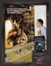 2005 Wal-mart Dark Age of Camelot Reflection Video Game Print Advertisement