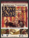 2006 American Conquest: Dividend Nation Video Game Print Advertisement