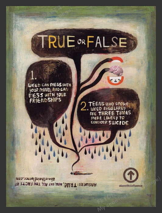 2008 Above the Influence Anti-drug Weed & Friendships Print Advertisement Ad