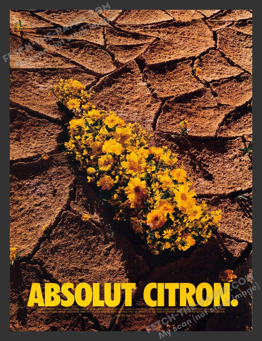 2001 Absolut Citron Flowers in Desert Bottle Alcohol Print Advertisement.
