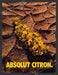 2001 Absolut Citron Flowers in Desert Bottle Alcohol Print Advertisement.