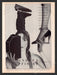 1988 Andrea Pfister Shoes Designer Legs Print Advertisement Ad