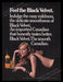 Black Velvet Whisky 1970s Print Advertisement Ad 1972 Sexy Woman Canadian Fetch the Paper!