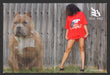 2007 Blue Sage Clothing Bully Loaded Pitbull Dog Print Advertisement (2 Pages).