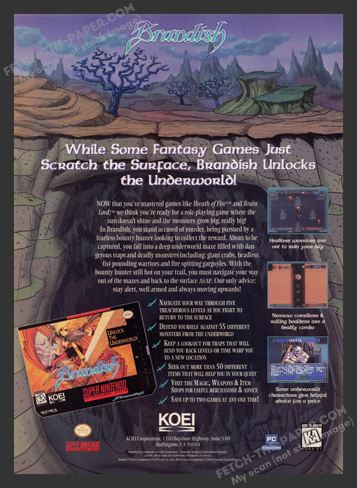 1995 Print Advertisement Brandish Video Game Ad.
