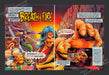 1994 Print Advertisement 2 Page Breath of Fire Video Game Ad.