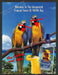 2001 Captain Morgan Parrot Bay Rum Parrots Beach Advertisement Ad.