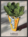 1989 Carefree Peppermint Sugarless Gum Print Advertisement Ad